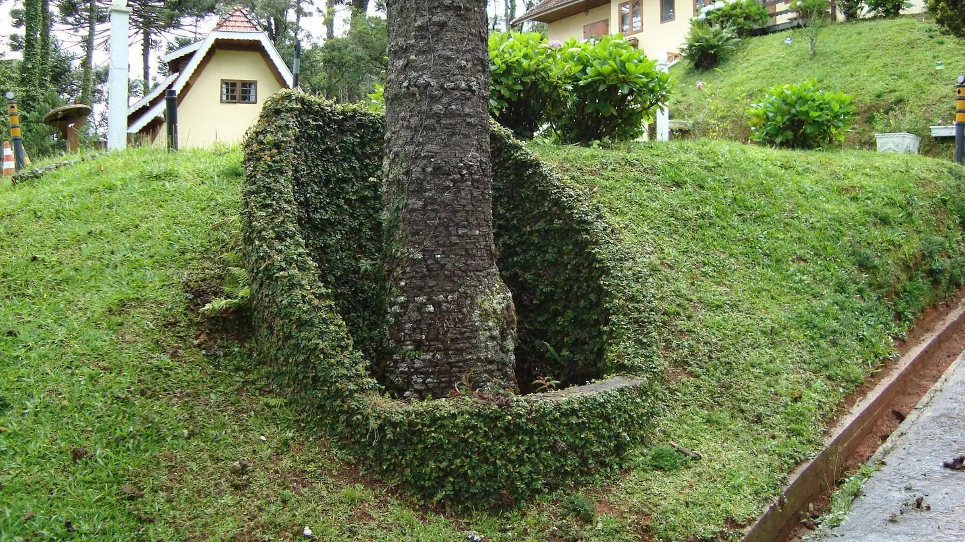 德坎普斯 - 杜若尔达奥山林小屋 Campos do Jordão